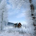 hiver-givre