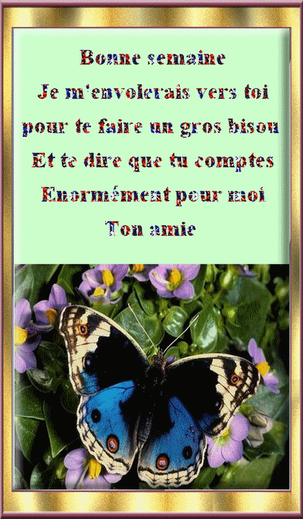 bonne-semaine-440-764.gif