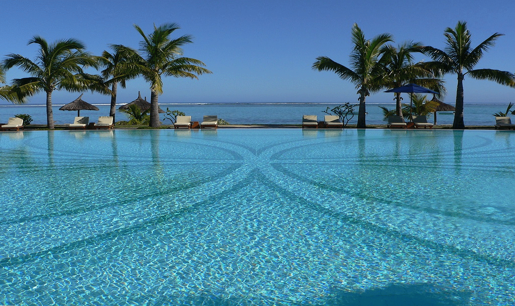 http://moniquebeauchamp.org/img4/CS44-1680-1000.gif