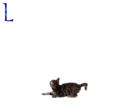 http://moniquebeauchamp.org/img4/Louisette_minou.gif