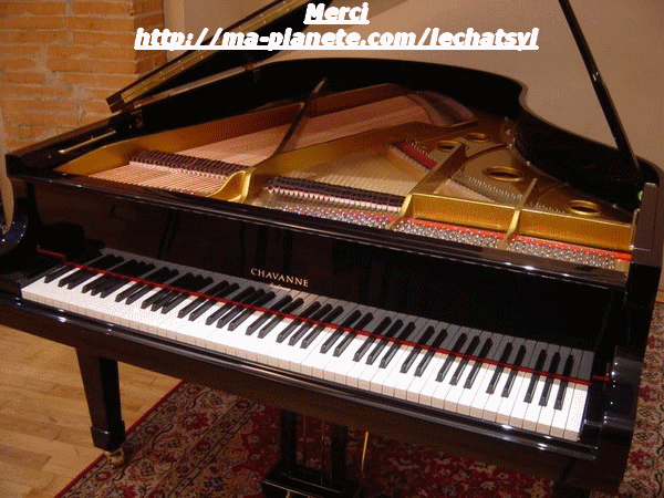 Piano-aqueue-lechatsyl.gif