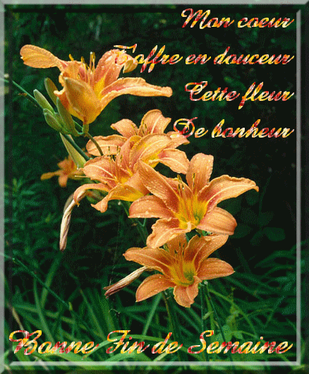 bonne-fin-de-sem-438-530.gif