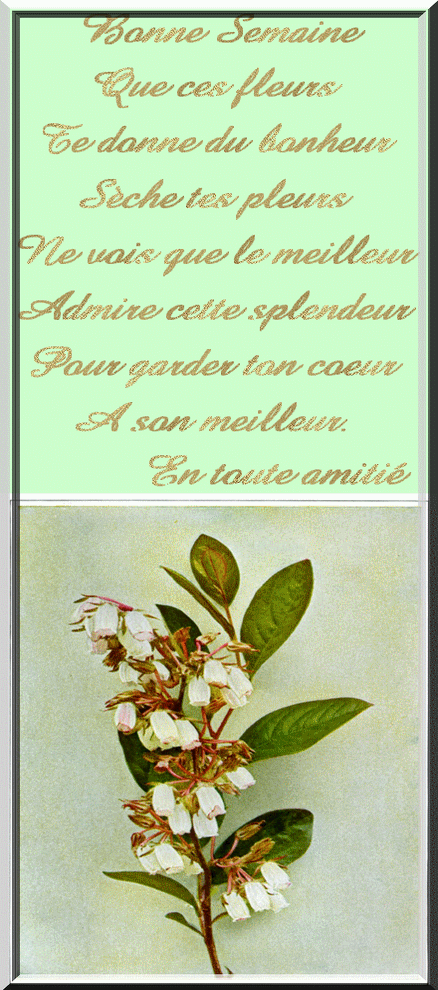 bonne-semaine-amitie-438-990.gif