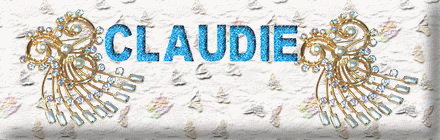 claudie-broche-440-140.gif