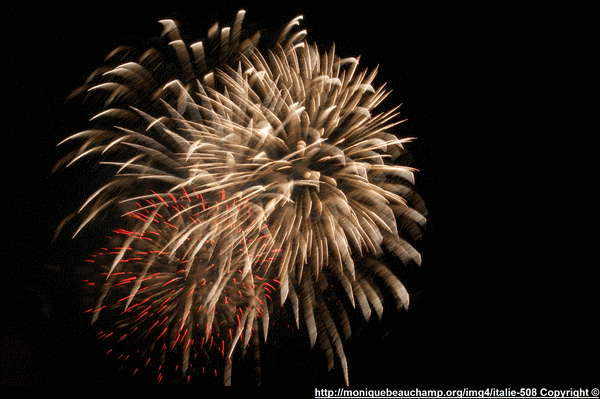 http://moniquebeauchamp.org/img4/
italie-508.gif