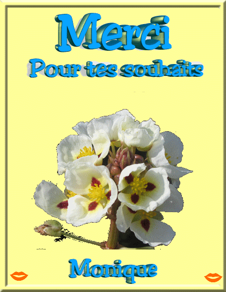 merci-pour-tes-souhaits-440-570.gif