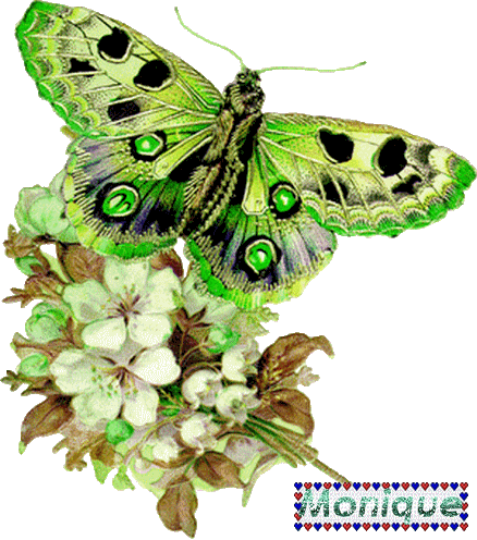 we-papillon-438-496.gif